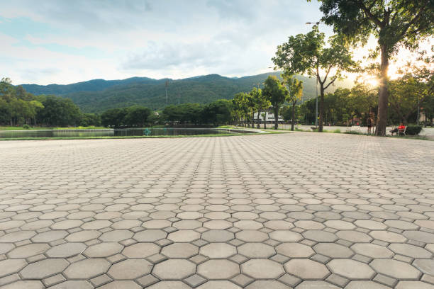 Best Driveway Paver Repair  in Mmaduke, AR